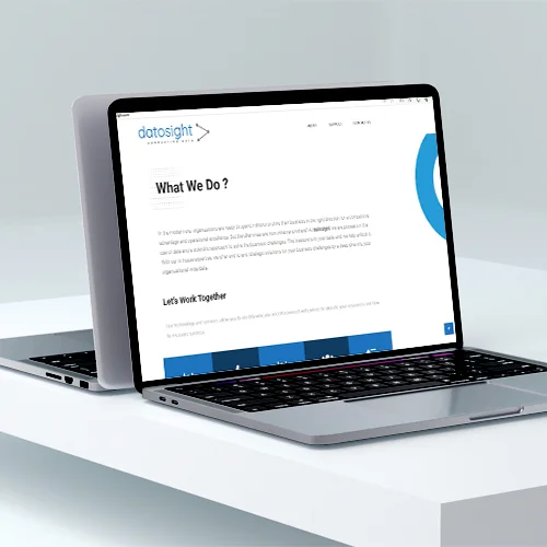 Website for Datosight by Dodge 'n Burns